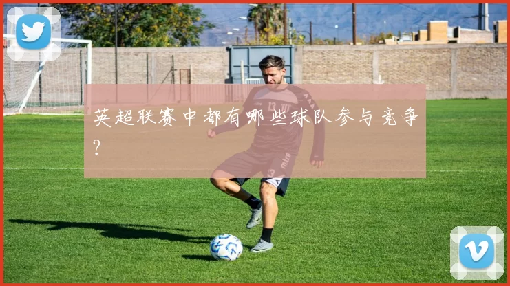 英超联赛中都有哪些球队参与竞争?