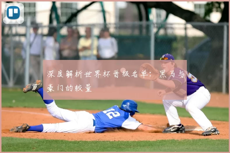 深度解析世界杯晋级名单：黑马与豪门的较量