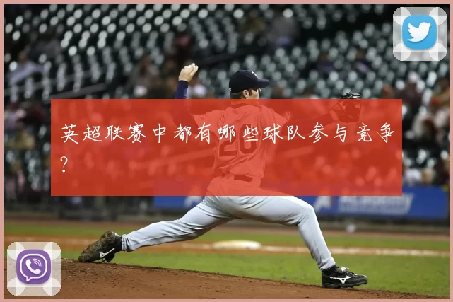 英超联赛中都有哪些球队参与竞争?