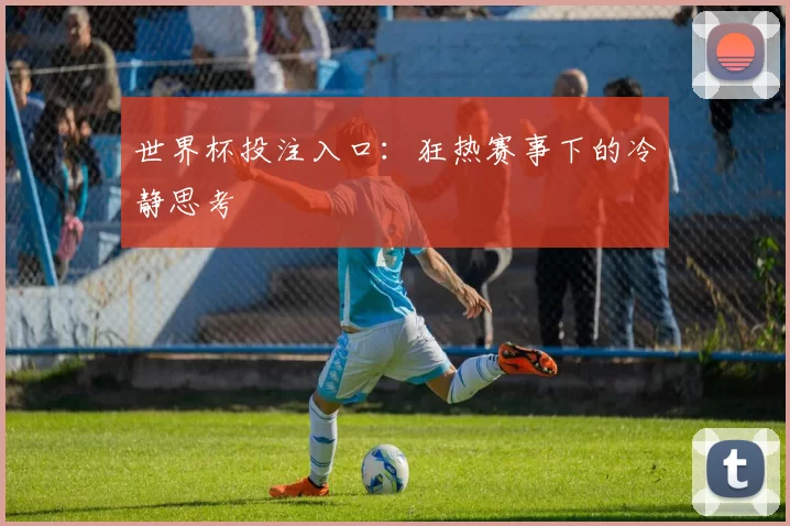 世界杯投注入口:狂热赛事下的冷静思考