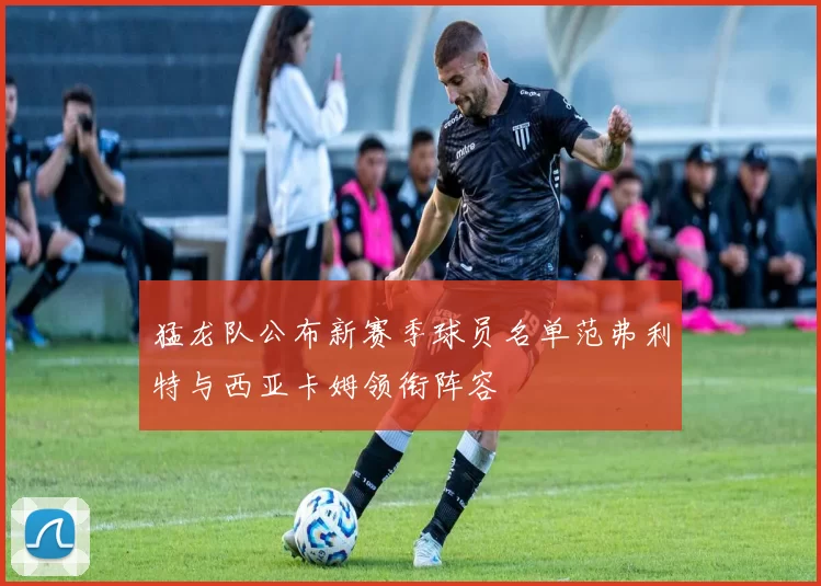 猛龙队公布新赛季球员名单范弗利特与西亚卡姆领衔阵容