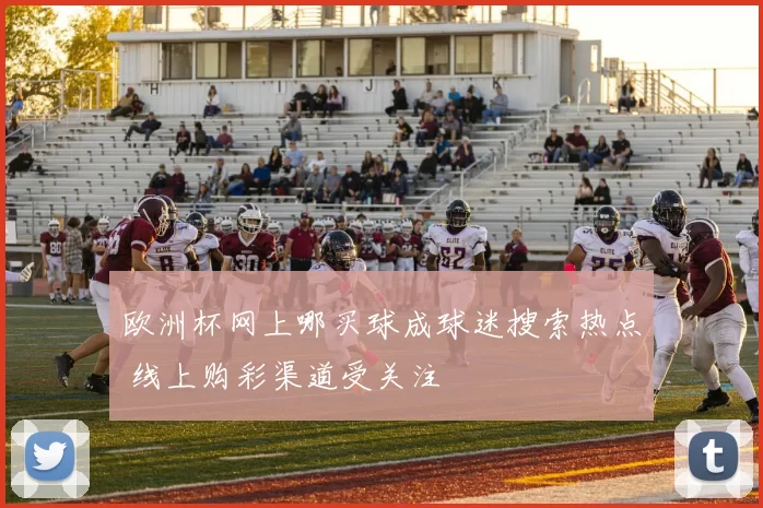 欧洲杯网上哪买球成球迷搜索热点 线上购彩渠道受关注