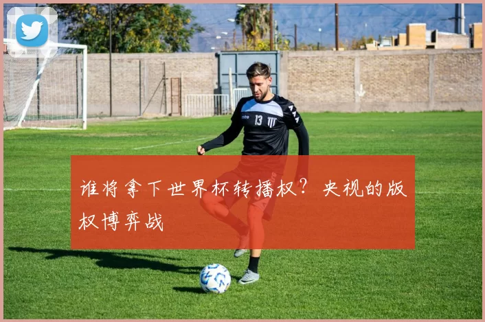谁将拿下世界杯转播权?央视的版权博弈战
