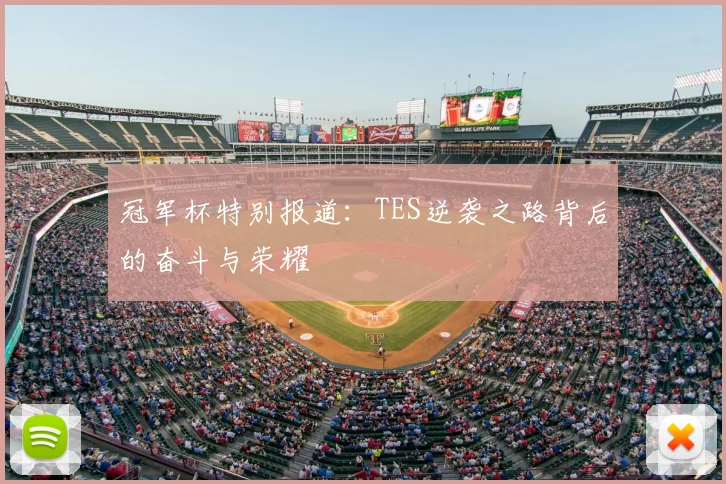 冠军杯特别报道:TES逆袭之路背后的奋斗与荣耀