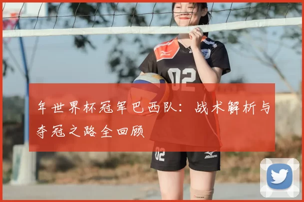 年世界杯冠军巴西队:战术解析与夺冠之路全回顾