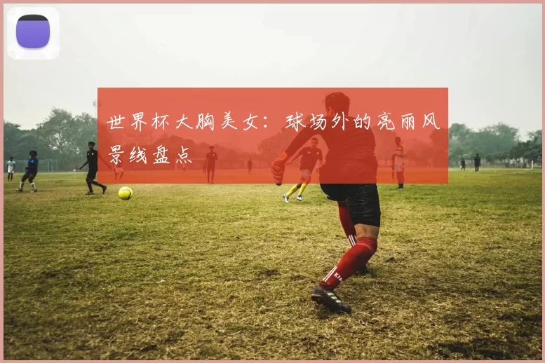 世界杯大胸美女:球场外的亮丽风景线盘点
