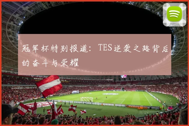 冠军杯特别报道:TES逆袭之路背后的奋斗与荣耀