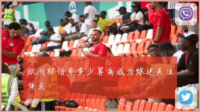 欧洲杯倍率多少算高成为球迷关注焦点