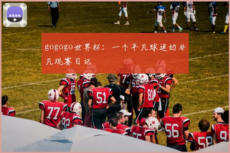 gogogo世界杯:一个平凡球迷的非凡观赛日记