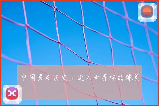 中国男足历史上进入世界杯的球员