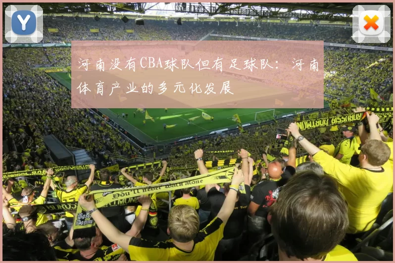 河南没有CBA球队但有足球队:河南体育产业的多元化发展